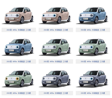 301-405KM Great Wall Motor EV Great Wall ORA Black Cat Ev Pil LFP