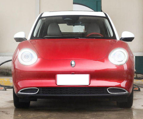 5 Kapı 5 Koltuk Great Wall Motor EV ORA Good Cat Ev 401-501KM