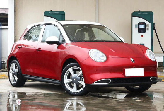 5 Kapı 5 Koltuk Great Wall Motor EV ORA Good Cat Ev 401-501KM