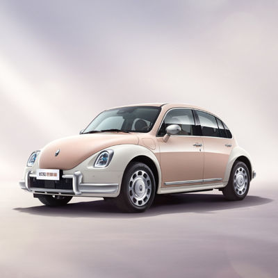 401-500KM Great Wall Motor EV ORA Bale Kedi Araba 5 Kapı 5 Koltuk
