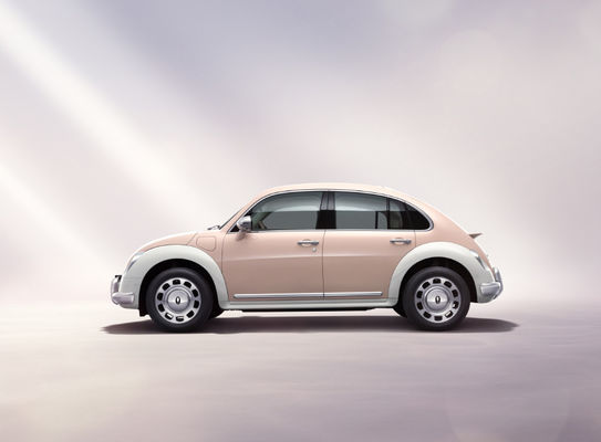 401-500KM Great Wall Motor EV ORA Bale Kedi Araba 5 Kapı 5 Koltuk