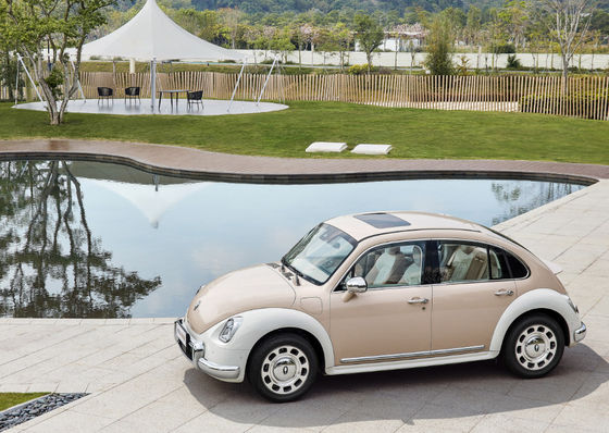 401-500KM Great Wall Motor EV ORA Bale Kedi Araba 5 Kapı 5 Koltuk