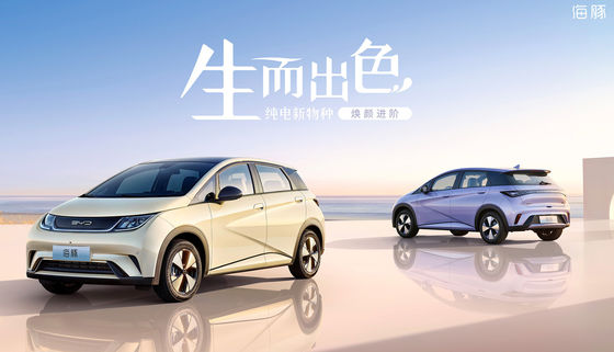 Pure Electric Mini Byd Dolphin Ev 301-405KM 5 Kapı 5 Koltuk